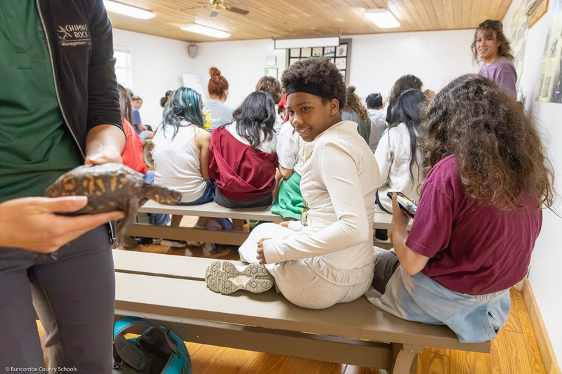 A girl looks back and smiles at a box turtle in the Animal Discovery Den.