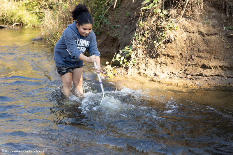 Student standing in a creek with a net in the water trying to catch organisms.