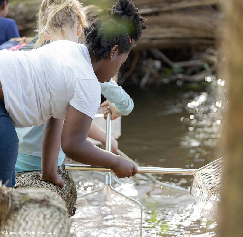 Girls sitting on a fallen tree using nets to catch things in the creek. 