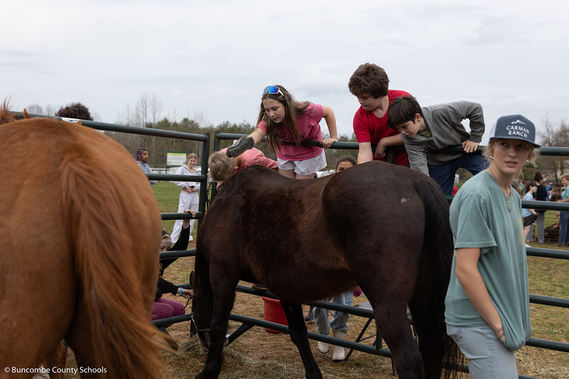 Students brushing a horse. 