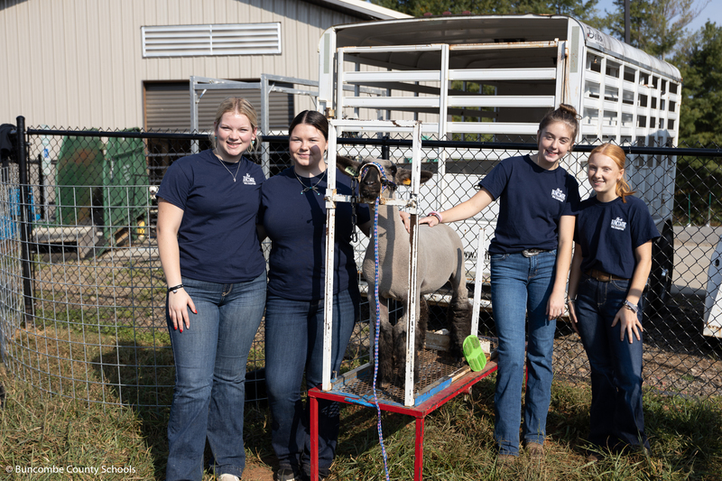 Female high school FFA member standing with a sheep. 