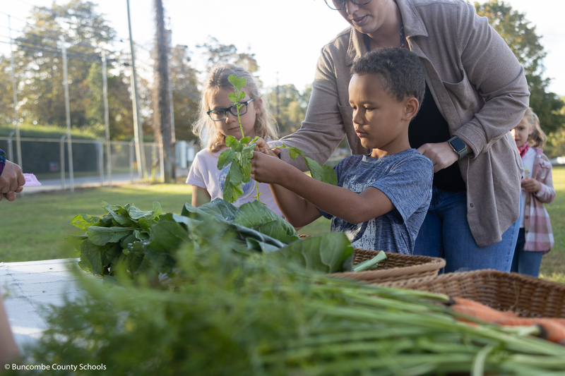 Little boy holding up fresh veggies. 