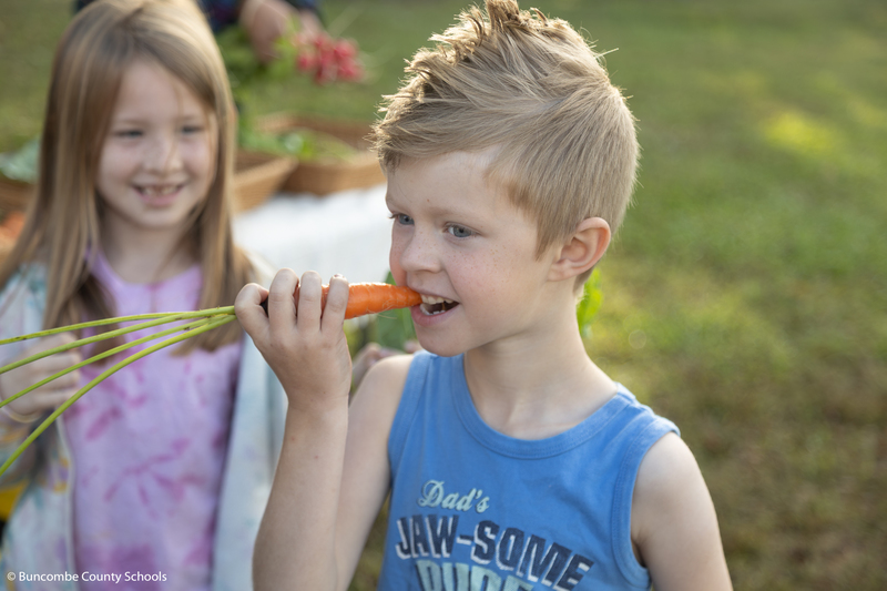 Little boy taking a bite out of a carrot. 