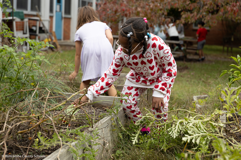 Little girl in heart sweatsuit picking something out of the garden.