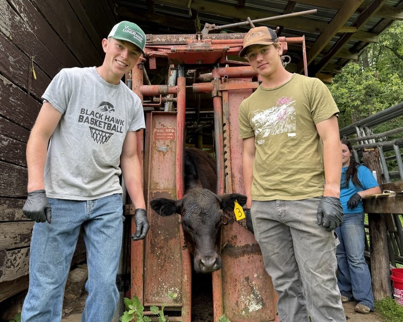 Two students stand in a barn. A black calf with a tag in its ear is between them.