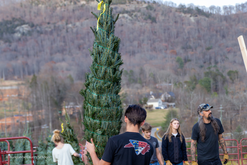 A shot from behind of a student carrying a tree