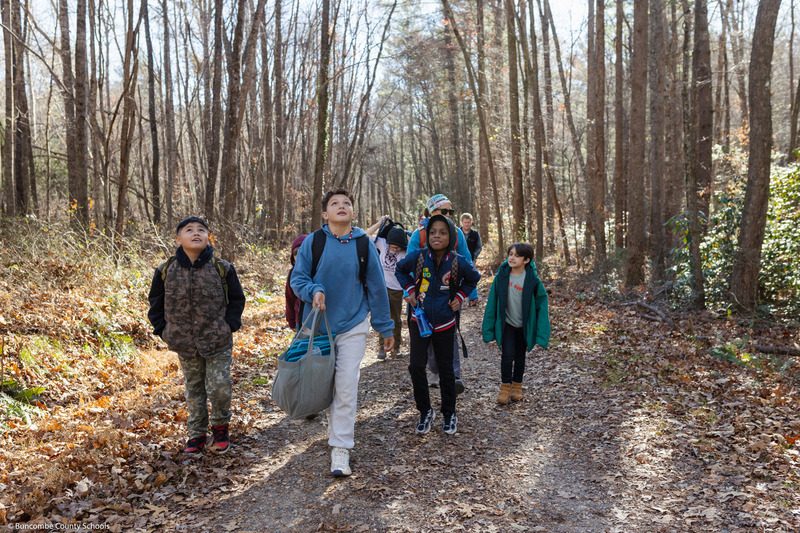 Students look up while walking down a trail in the woods.