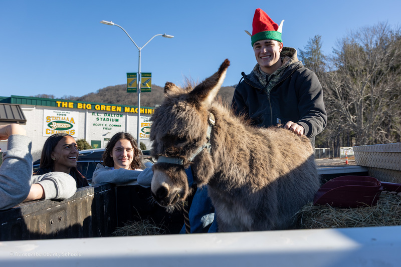 A student in an elf hat sits in the back of his pickup with a miniature donkey
