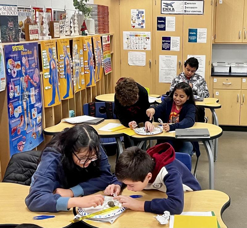 Students looking to see what is inside an owl pellet.