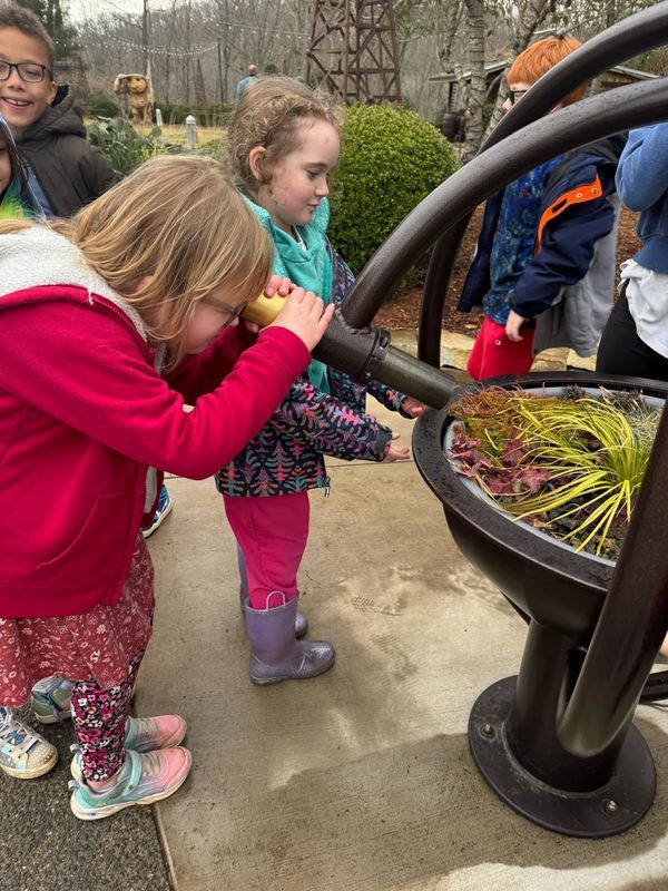Student looking through a magnifying glass at a plant up close. 