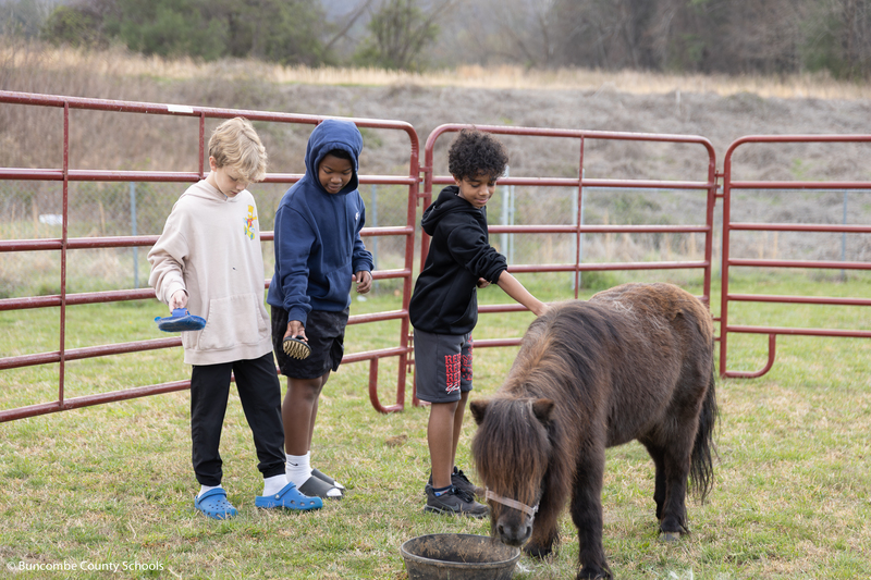 Three fifth grade students brushing a pony. 