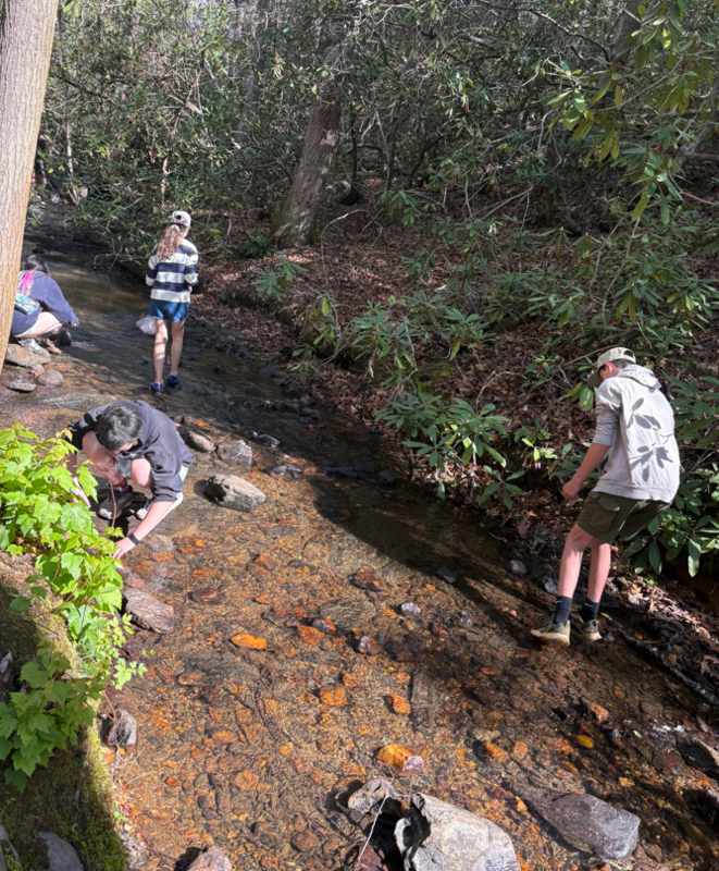 Students Explore Freshwater Ecosystems at the North Carolina Arboretum