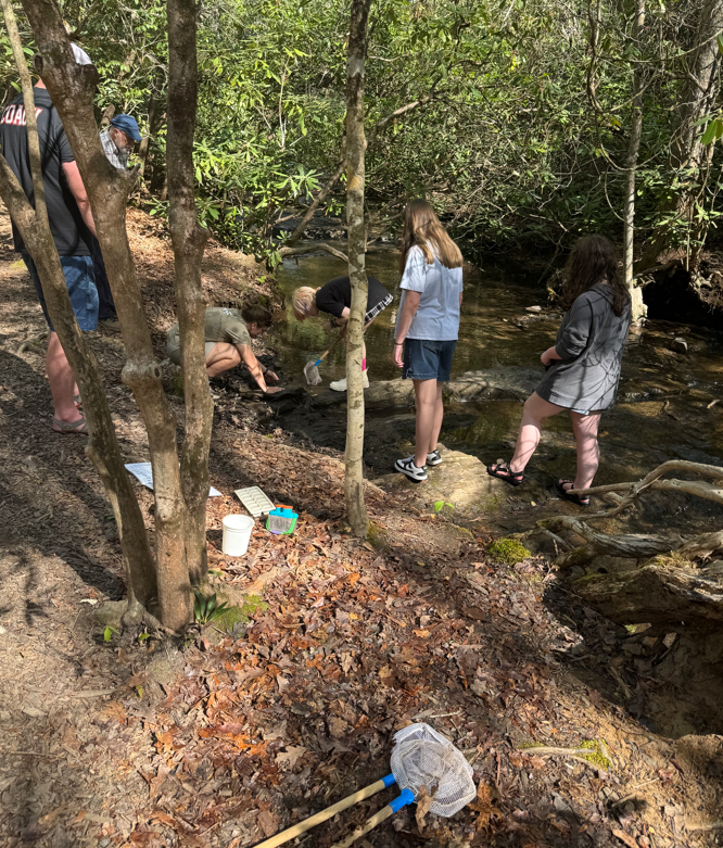 Students Explore Freshwater Ecosystems at the North Carolina Arboretum