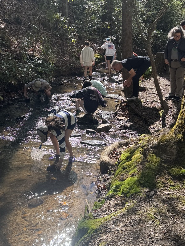 Students Explore Freshwater Ecosystems at the North Carolina Arboretum