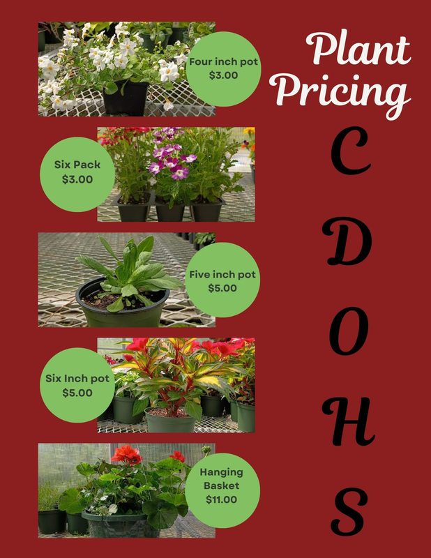 Images of plants with pricing details