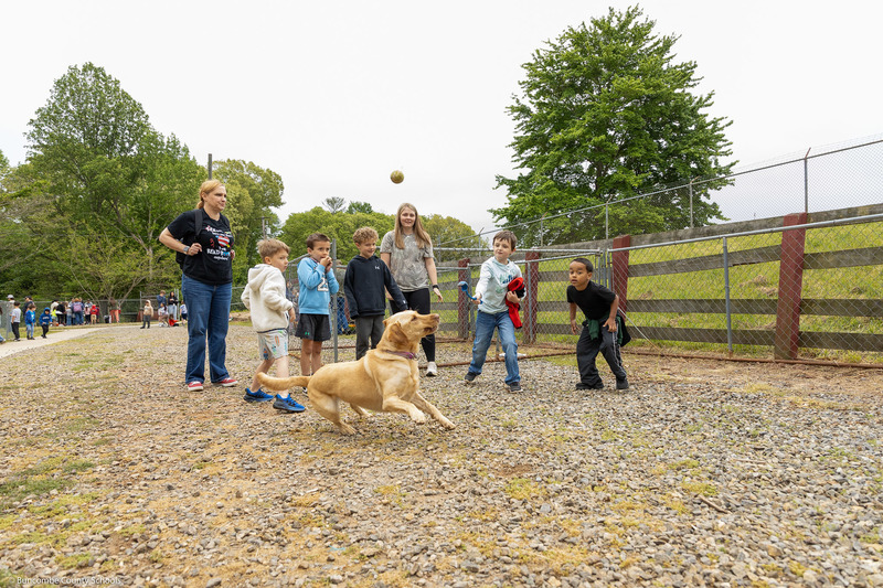 Students throw a ball, and a dog chases it.