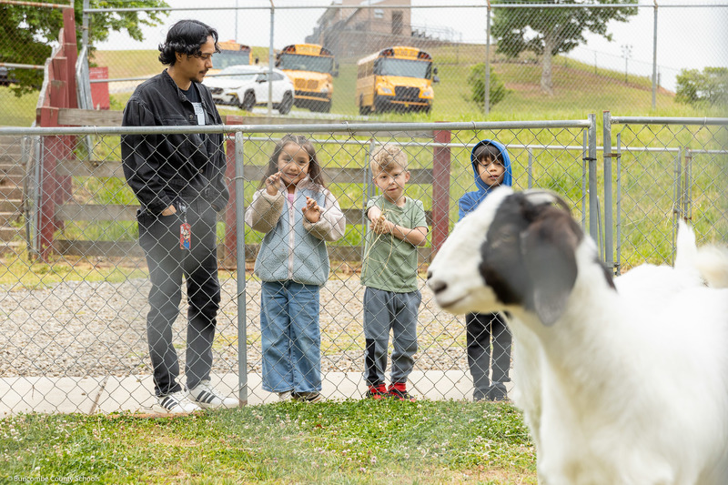 Students hold hay while a goat stands iin the foreground.