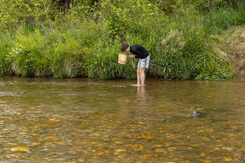 A student looks into a net while standing in the creek.