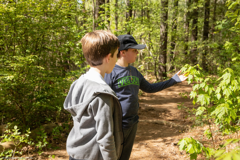 Two boys look at a leaf together.