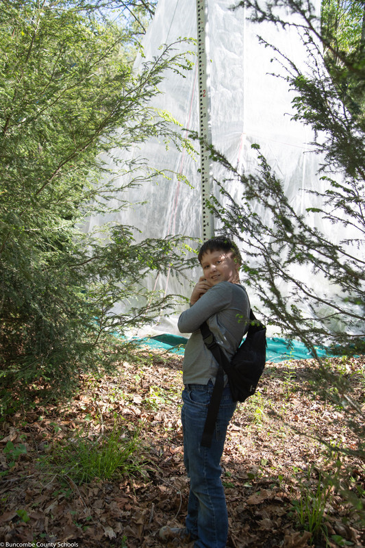 Student measuring the height of a tree. 