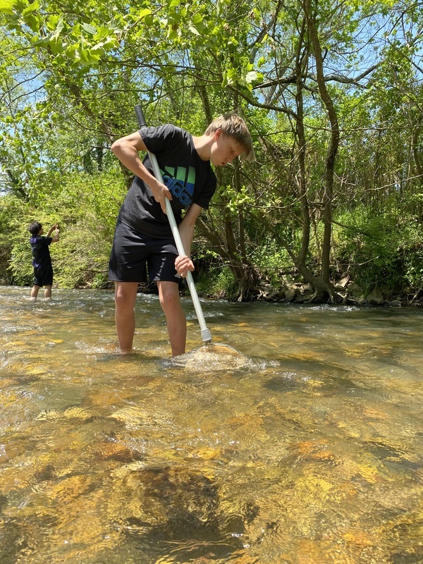 Student looking for living organisms in the creek. 