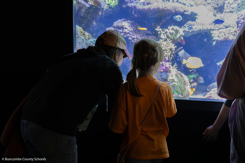 Student and an adult looking at the fish in an exhibit. 