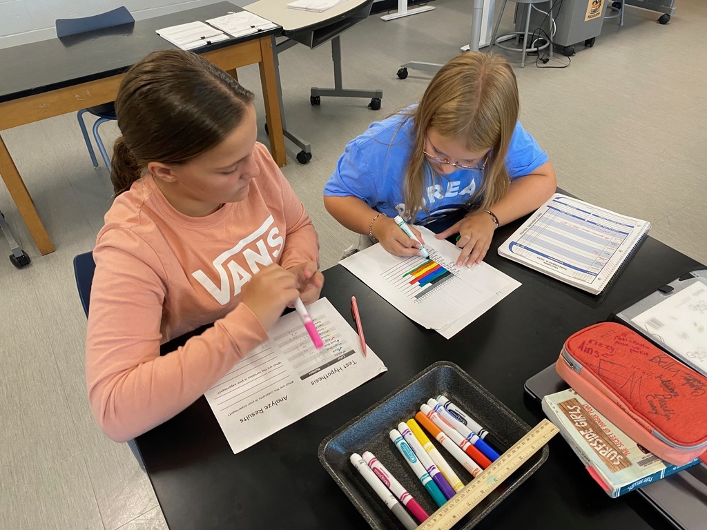 Scientific Method Bead Activity