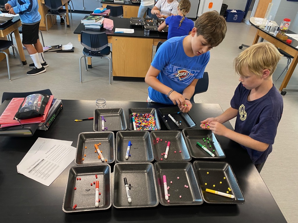 Scientific Method Bead Activity
