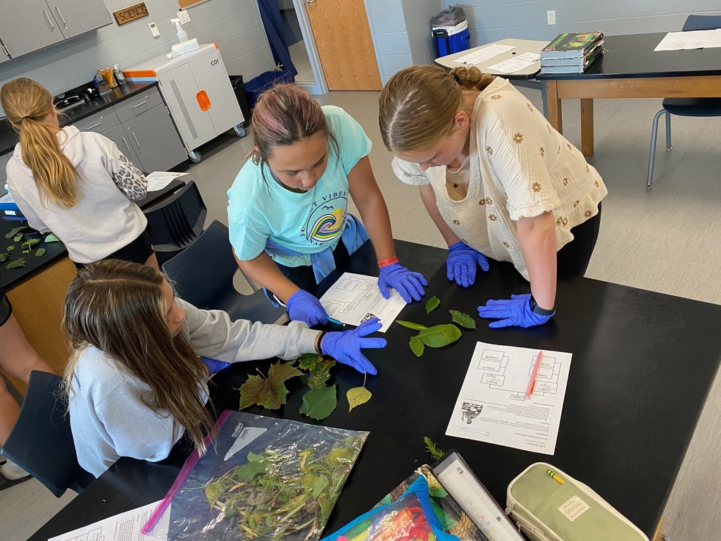 Intro Taxonomy Activity 