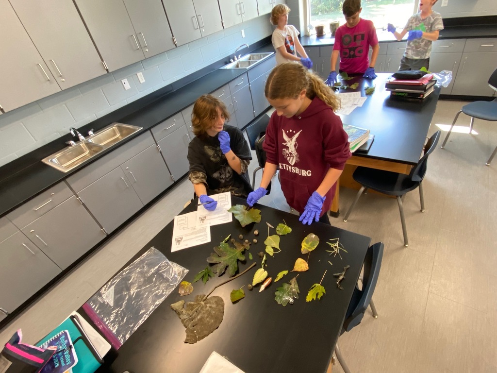 Intro Taxonomy Activity 