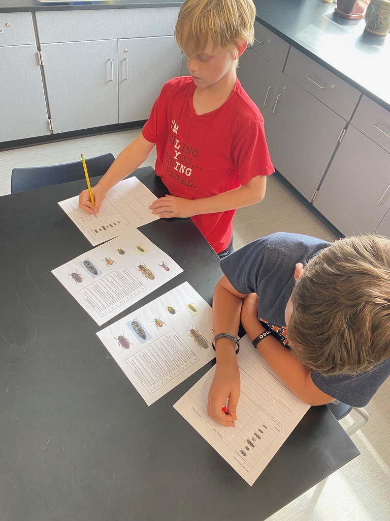 Dichotomous Key Activity 1