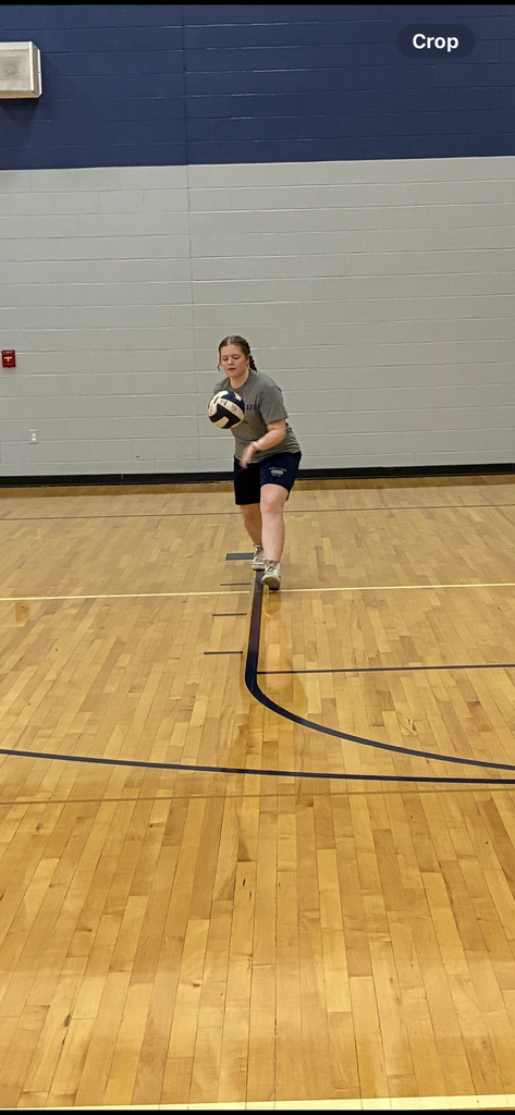 vb
