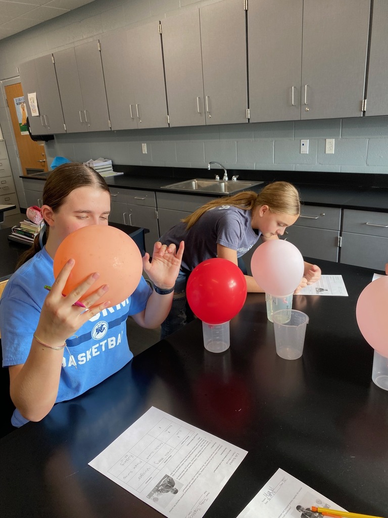 Semipermeable Membrane Activity 