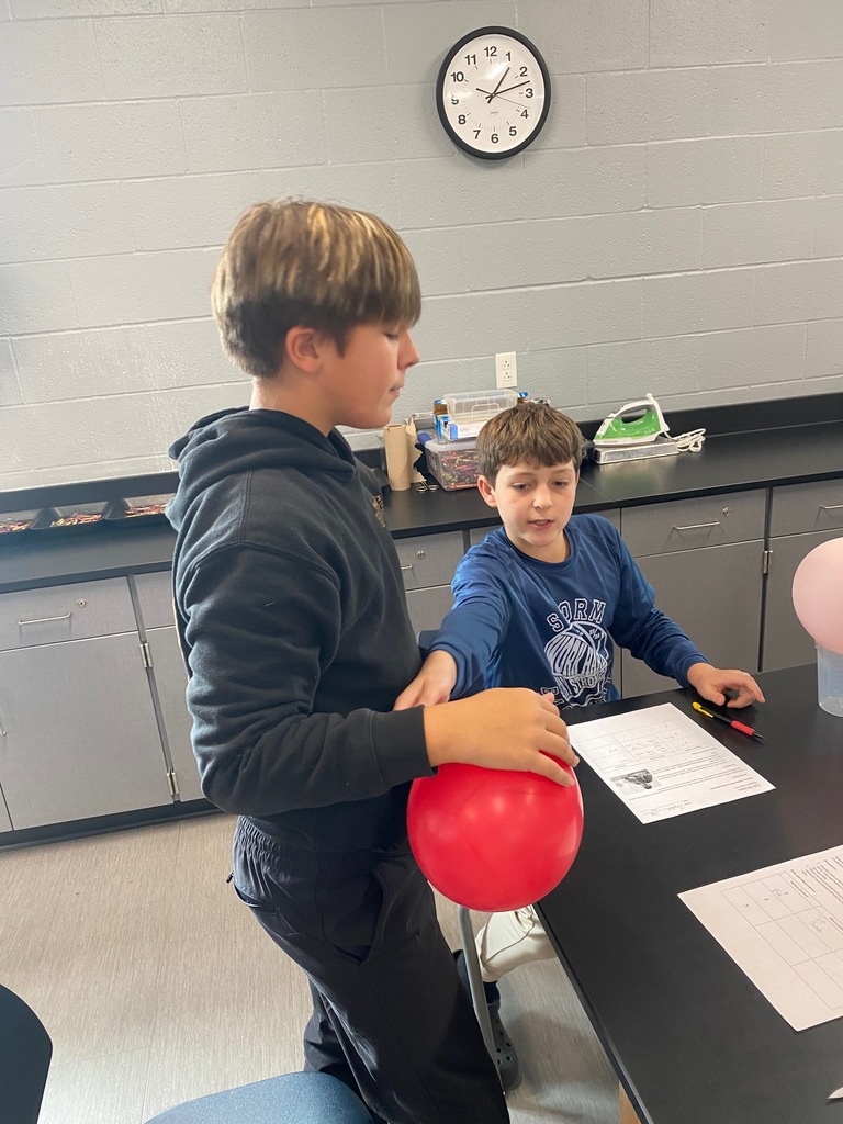 Semipermeable Membrane Activity 