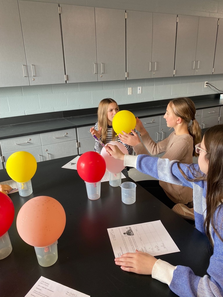 Semipermeable Membrane Activity 