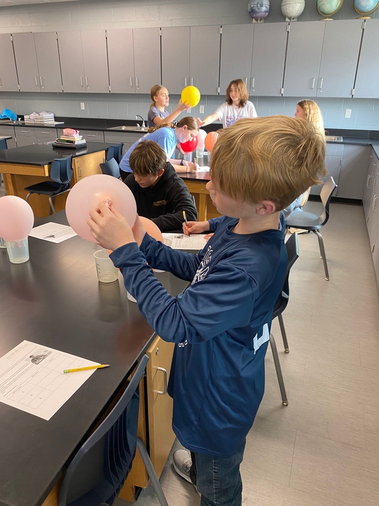 Semipermeable Membrane Activity 