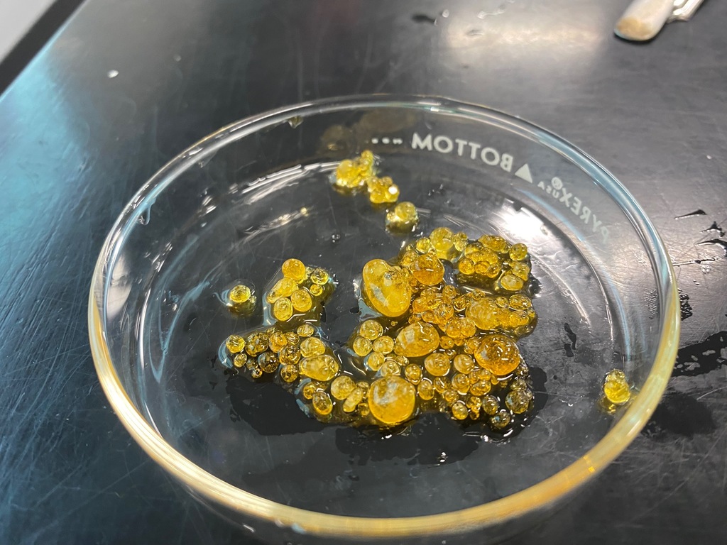 Igneous Rock Activity