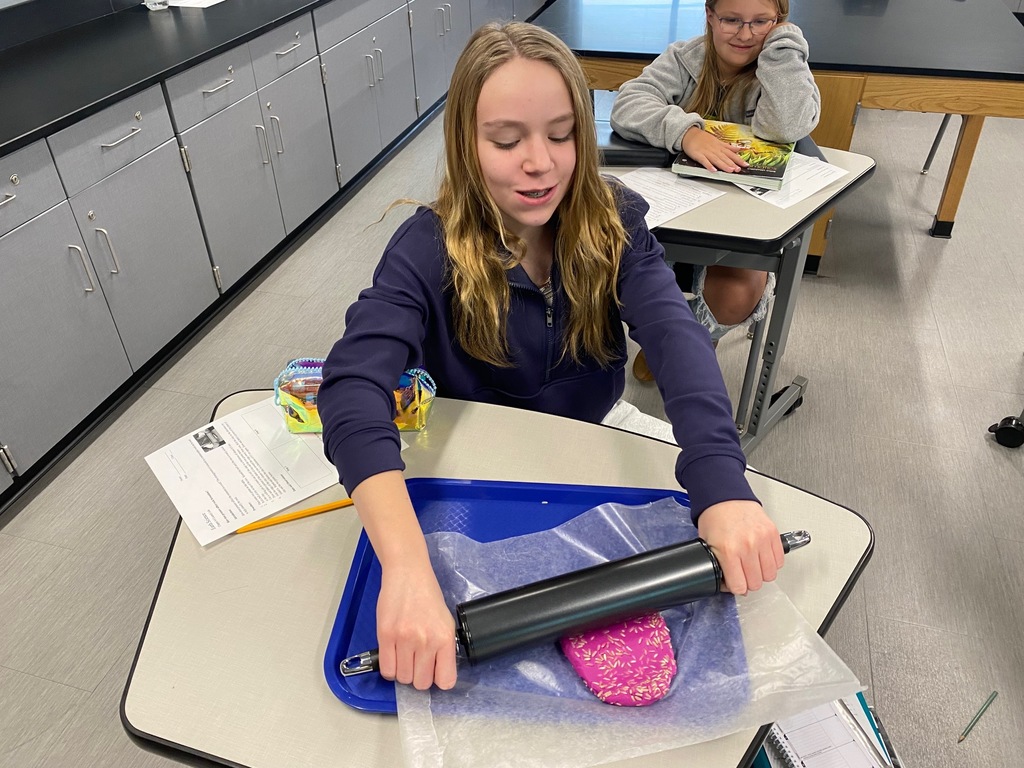 Metamorphic Rock Activity