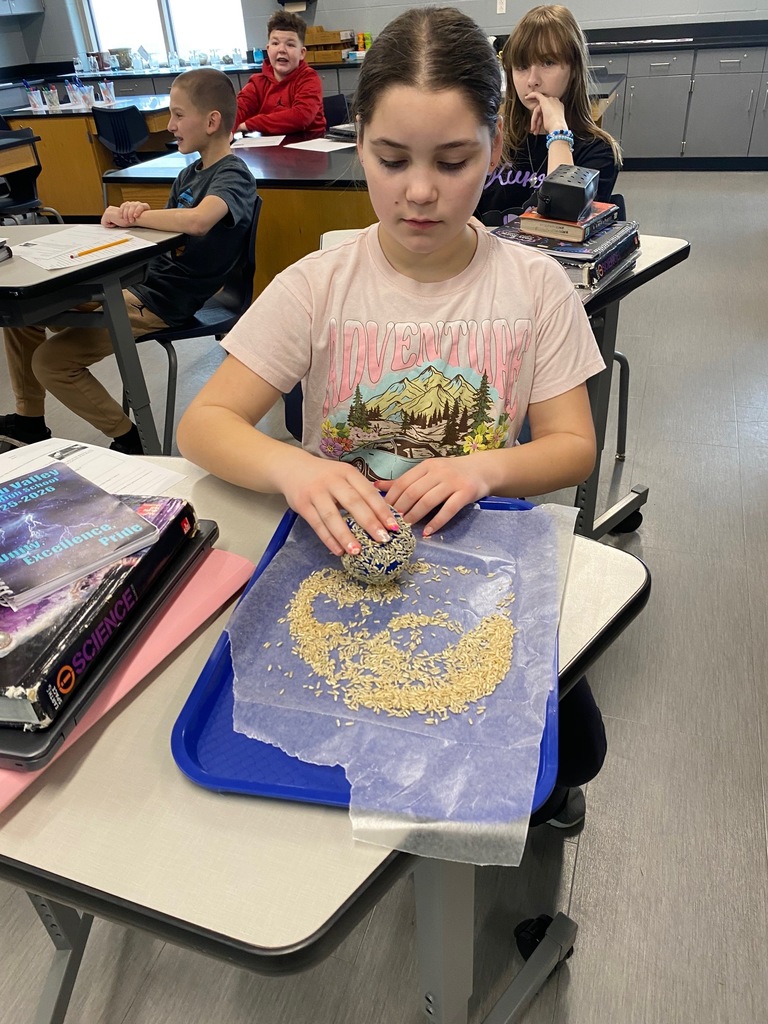 Metamorphic Rock Activity