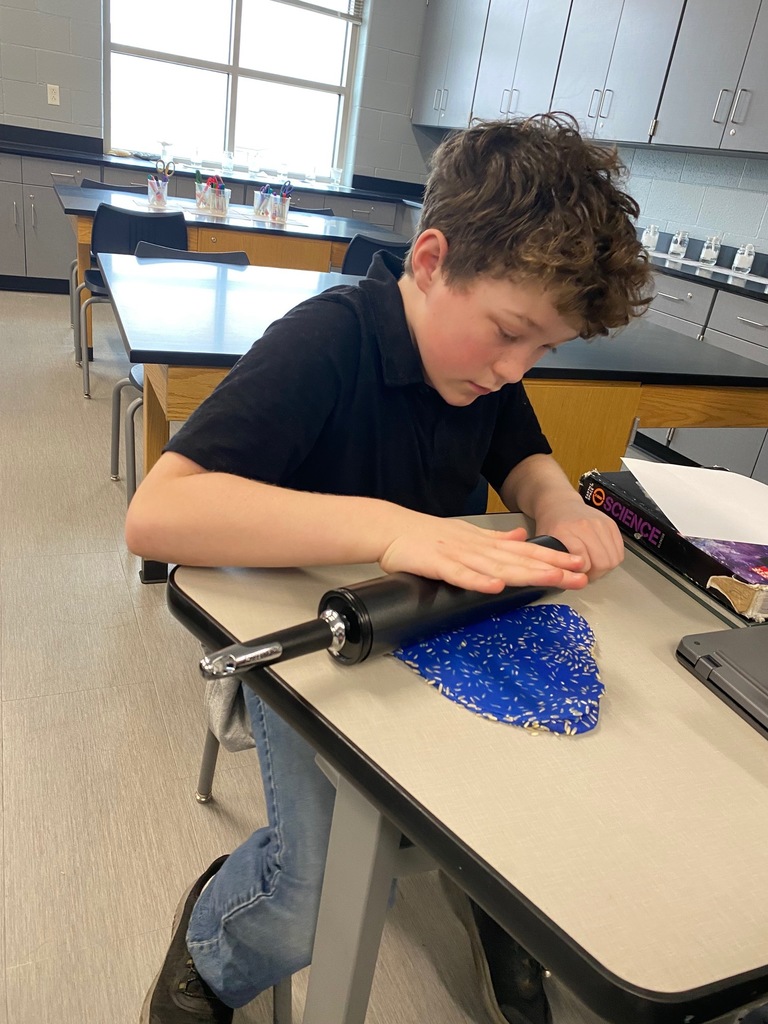 Metamorphic Rock Activity