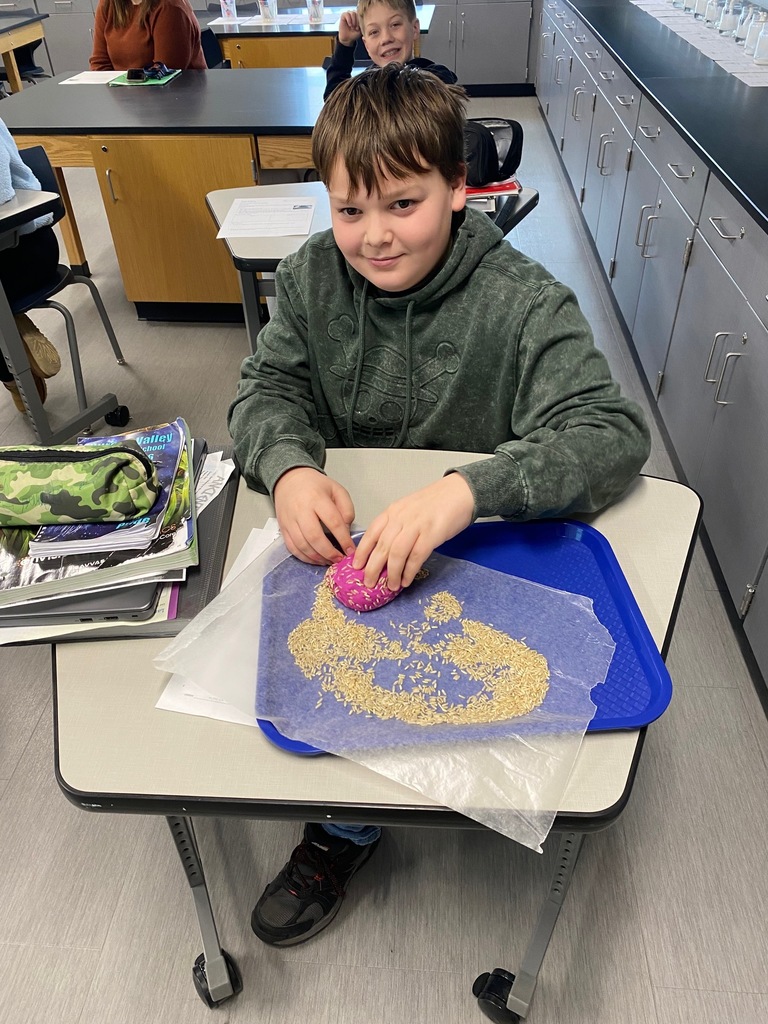Metamorphic Rock Activity
