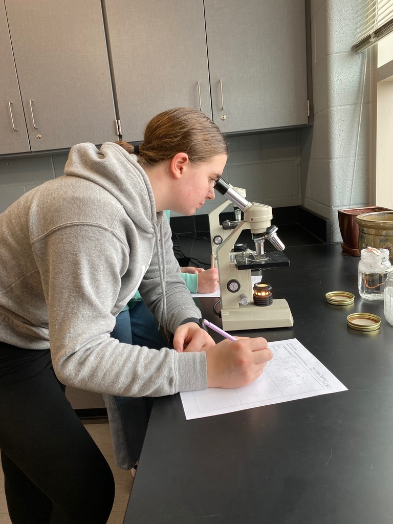 Unicellular Microscope Activity