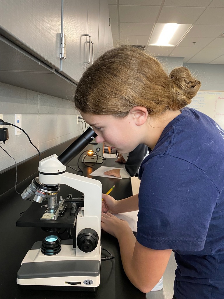 Unicellular Microscope Activity