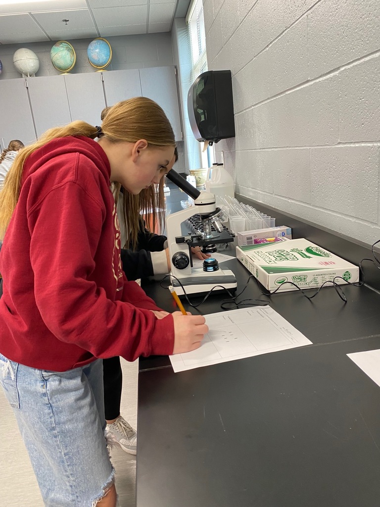 Unicellular Microscope Activity