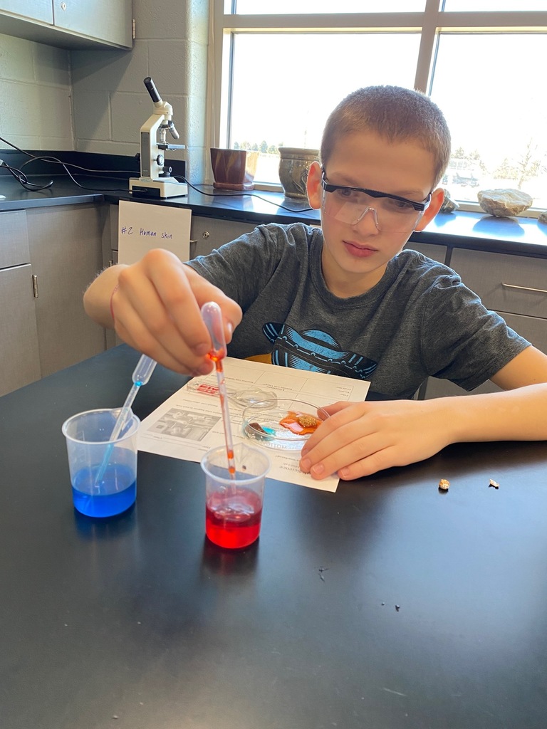 Chemical Weathering Activity