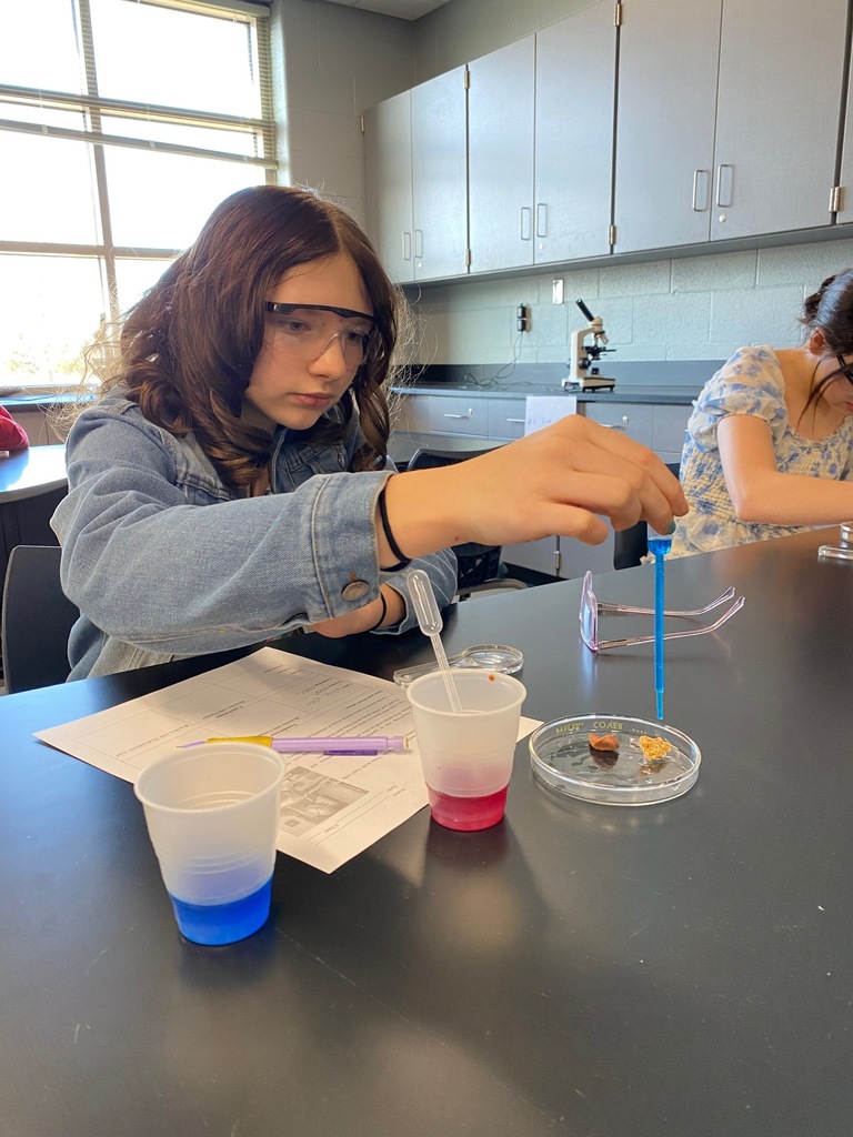Chemical Weathering Activity