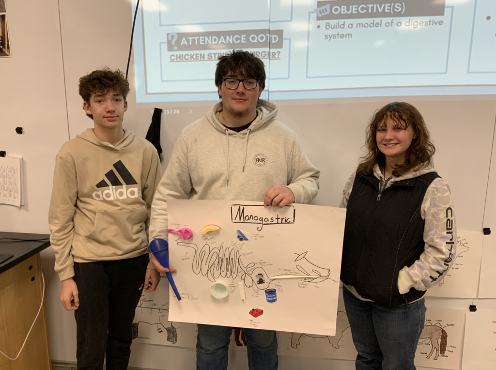 Students in Miss Merriman and Mrs. Shimmin’s Pre-Vet class have been learning about the four digestive systems found in animals: avian, ruminant, pseudo-ruminant, and monogastric. To deepen their understanding, students connected each system’s functions to common household items that serve a similar purpose.  Can you guess which digestive system humans have?