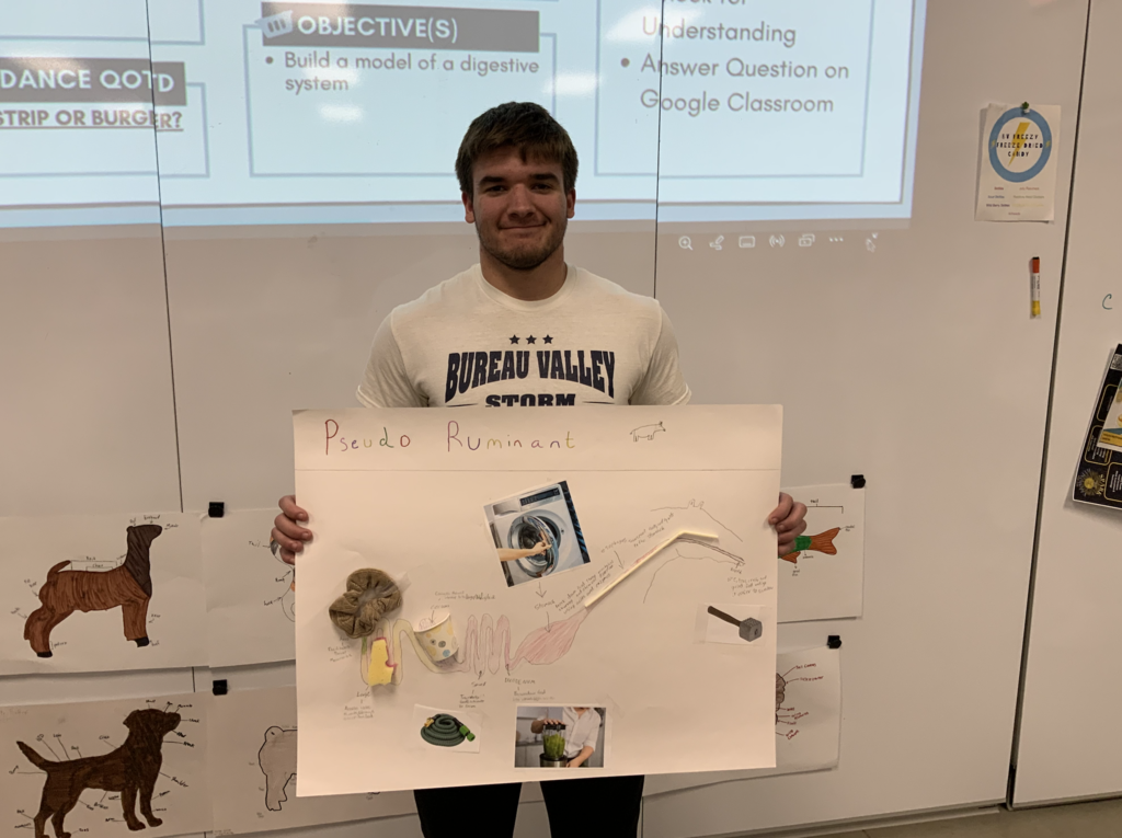 Students in Miss Merriman and Mrs. Shimmin’s Pre-Vet class have been learning about the four digestive systems found in animals: avian, ruminant, pseudo-ruminant, and monogastric. To deepen their understanding, students connected each system’s functions to common household items that serve a similar purpose.  Can you guess which digestive system humans have?