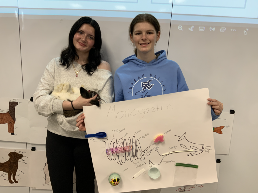 Students in Miss Merriman and Mrs. Shimmin’s Pre-Vet class have been learning about the four digestive systems found in animals: avian, ruminant, pseudo-ruminant, and monogastric. To deepen their understanding, students connected each system’s functions to common household items that serve a similar purpose.  Can you guess which digestive system humans have?