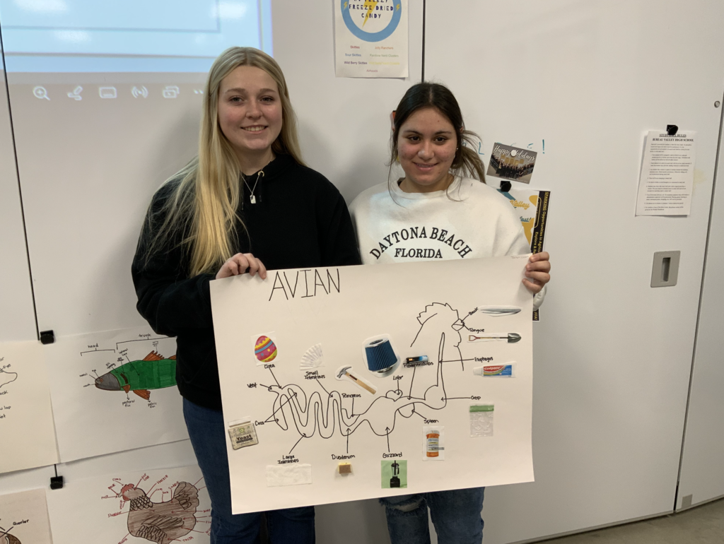 Students in Miss Merriman and Mrs. Shimmin’s Pre-Vet class have been learning about the four digestive systems found in animals: avian, ruminant, pseudo-ruminant, and monogastric. To deepen their understanding, students connected each system’s functions to common household items that serve a similar purpose.  Can you guess which digestive system humans have?